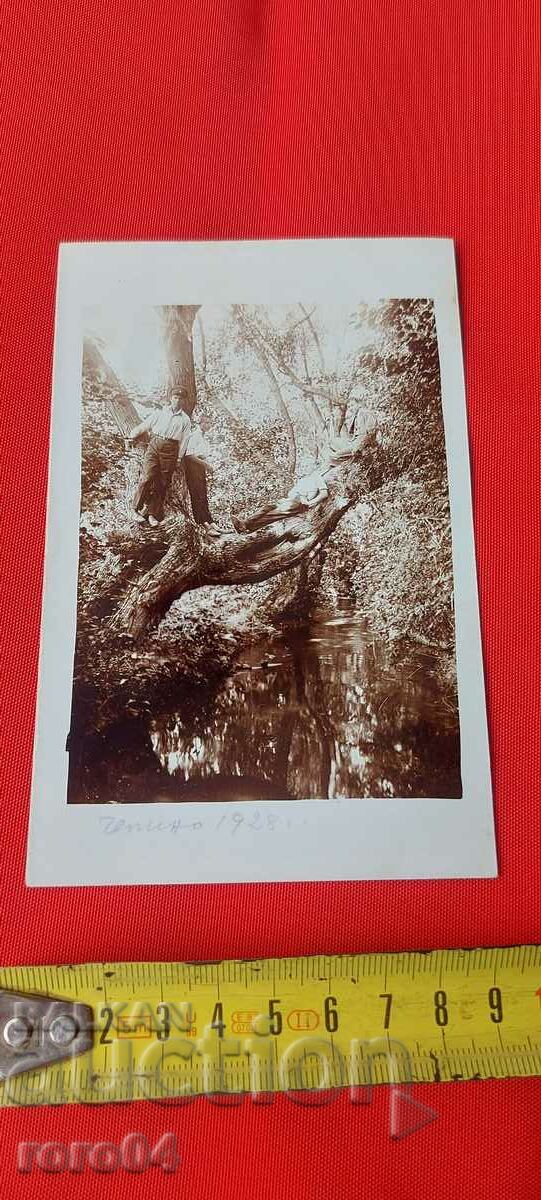 Auction CHEPINO - 1928 Auction CHEPINO - 1928