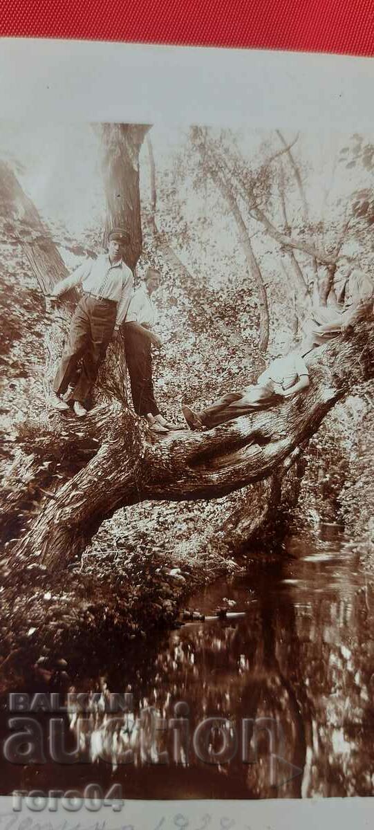 CHEPINO - 1928 - 6 CHEPINO - 1928 - 6