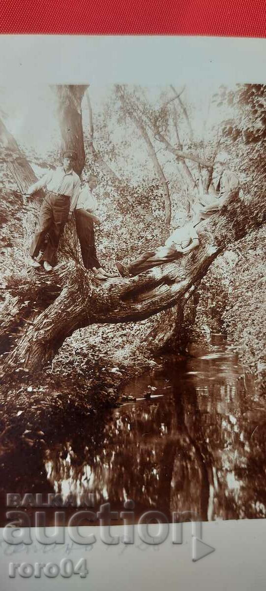 CHEPINO - 1928 - 7 CHEPINO - 1928 - 7