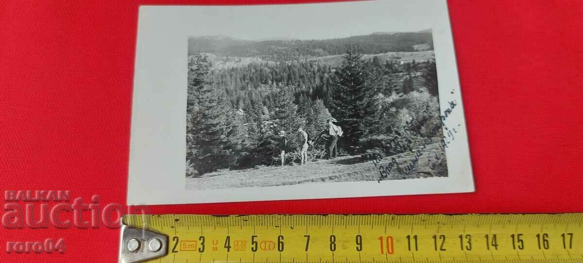 Auction VITOSHA - FONFON LOCATION - 1929 Auction VITOSHA - FONFON LOCATION - 1929