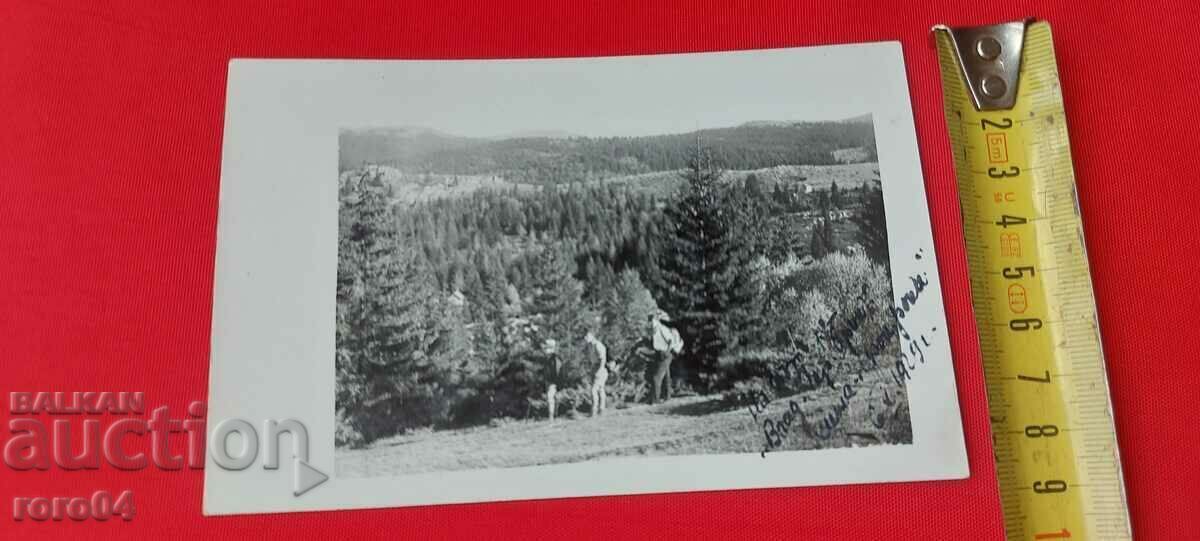 Livrarea VITOSHA - LOCALIZARE FONFON - 1929