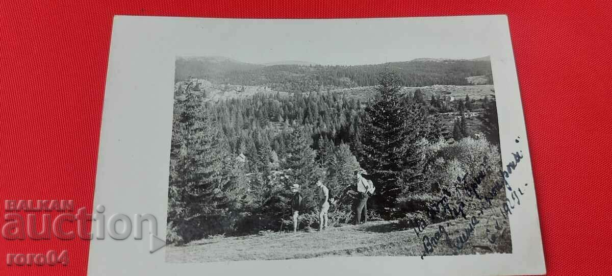 VITOSHA - FONFON LOCATION - 1929 - 6 VITOSHA - FONFON LOCATION - 1929 - 6