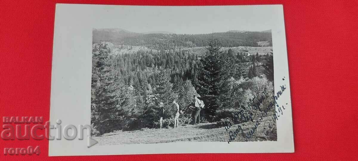 VITOSHA - LOCALIZARE FONFON - 1929