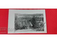 VITOSHA - LOCALIZARE FONFON - 1929