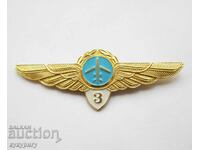 Vechiul rus social URSS semn insignă aviator pilot aviație civilă
