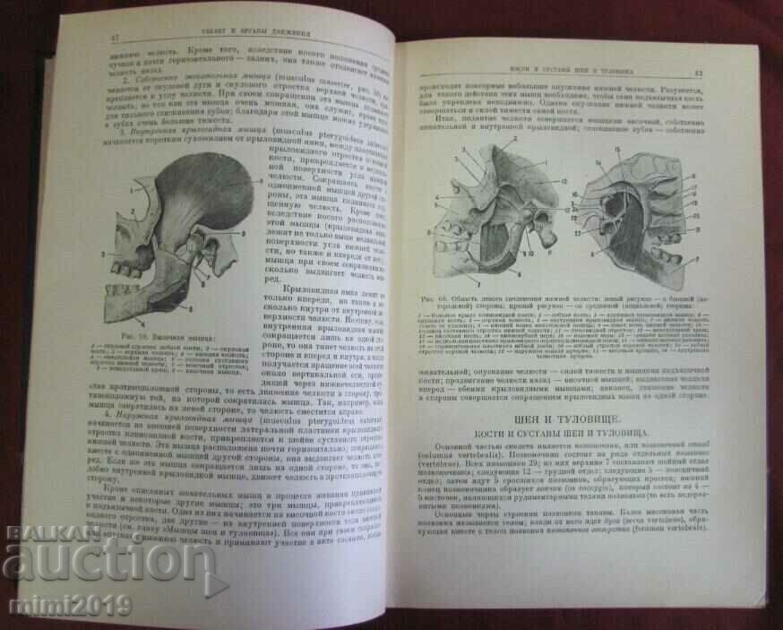 Delivery of 1938 Human Anatomy Russia