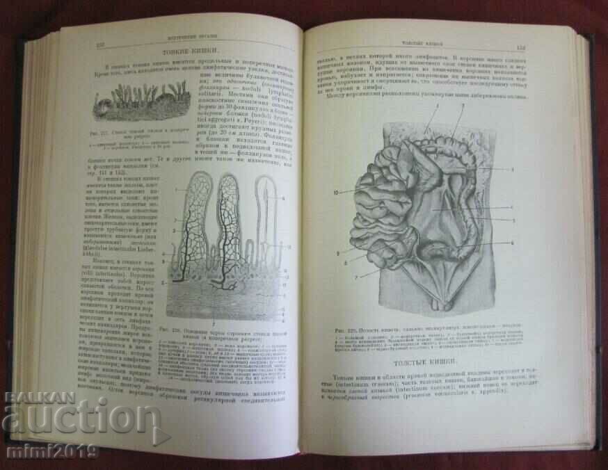 1938 Human Anatomy Russia - 5