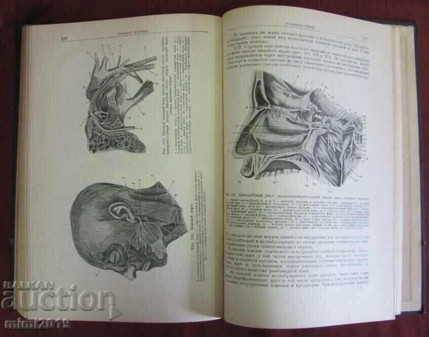 1938 Human Anatomy Russia - 6