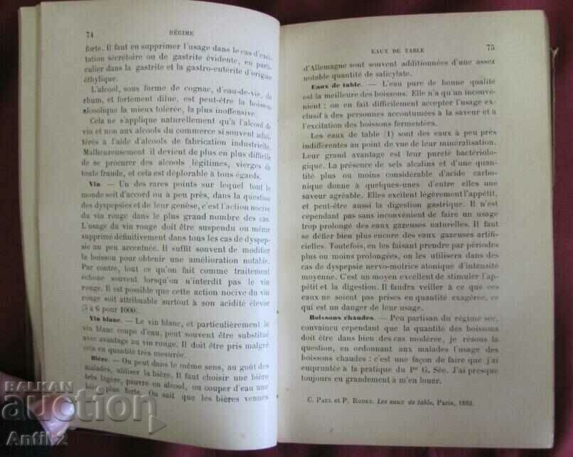 19th Century Therapeutic Handbook De Lestomac Paris - 5