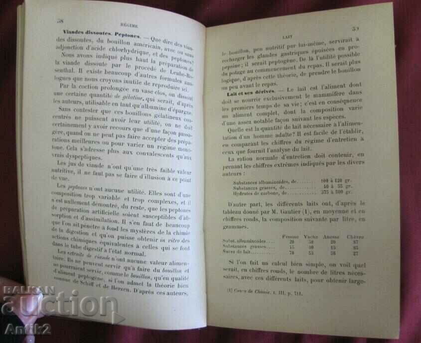 19th Century Therapeutic Handbook De Lestomac Paris - 7