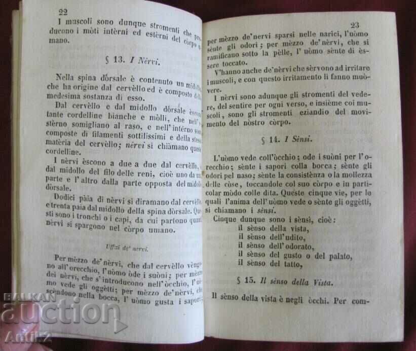 1851 Book - Opera Giannetto - 6 1851 Book - Opera Giannetto - 6