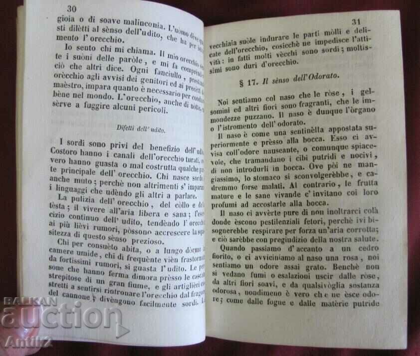 1851 Book - Opera Giannetto - 7 1851 Book - Opera Giannetto - 7