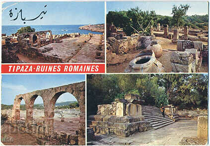 Algeria - Tipaza - Roman ruins - mosaic - ca. 1975