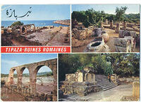 Algeria - Tipaza - ruine romane - mozaic - ca. 1975