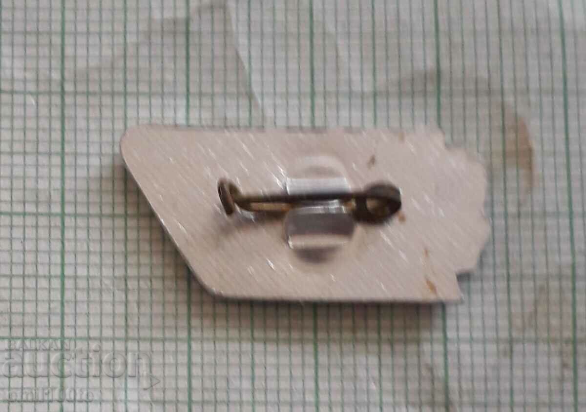 Delivery of Badge - Eighth March Women's March