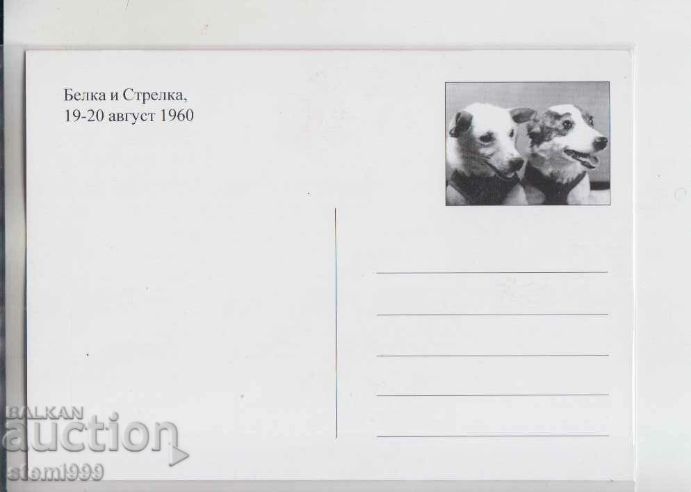 Postcard FDC SPACE DOGS with price 3.50 BGN | € 1.79