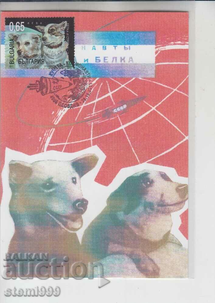 Postcard FDC SPACE DOGS