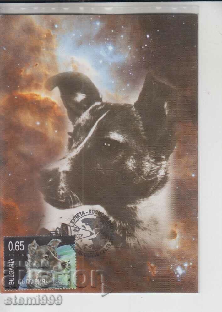 Postcard FDC SPACE DOGS