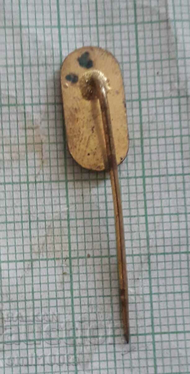 Delivery of Badge - Gymnastics Federation