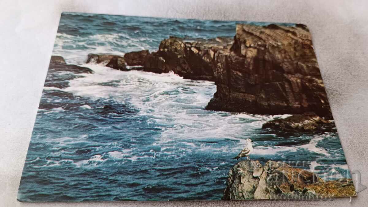 Пощенска картичка Златни пясъци Скали 1983