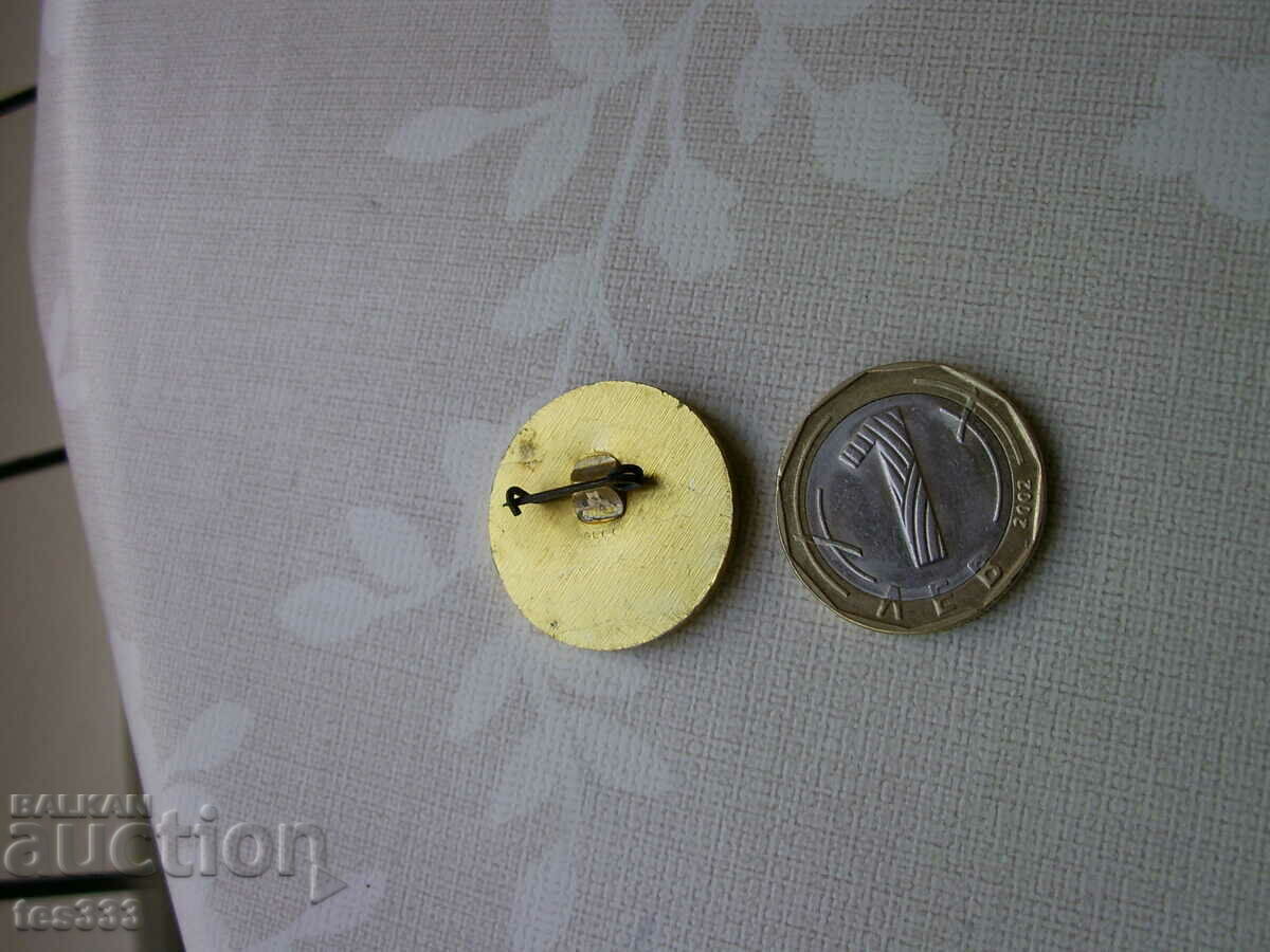 Доставка на Значка 133 училище А С Пушкин София