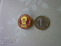 Badge 133 School A S Pushkin Sofia