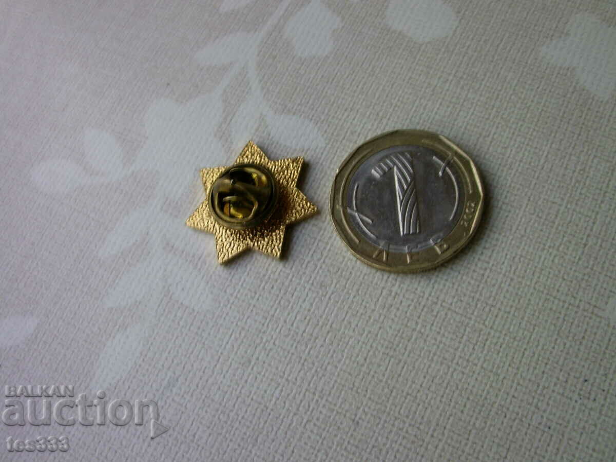 Παράδοση Διεκδικεί το σήμα ντετέκτιβ pin Παράδοση Διεκδικεί το σήμα ντετέκτιβ pin