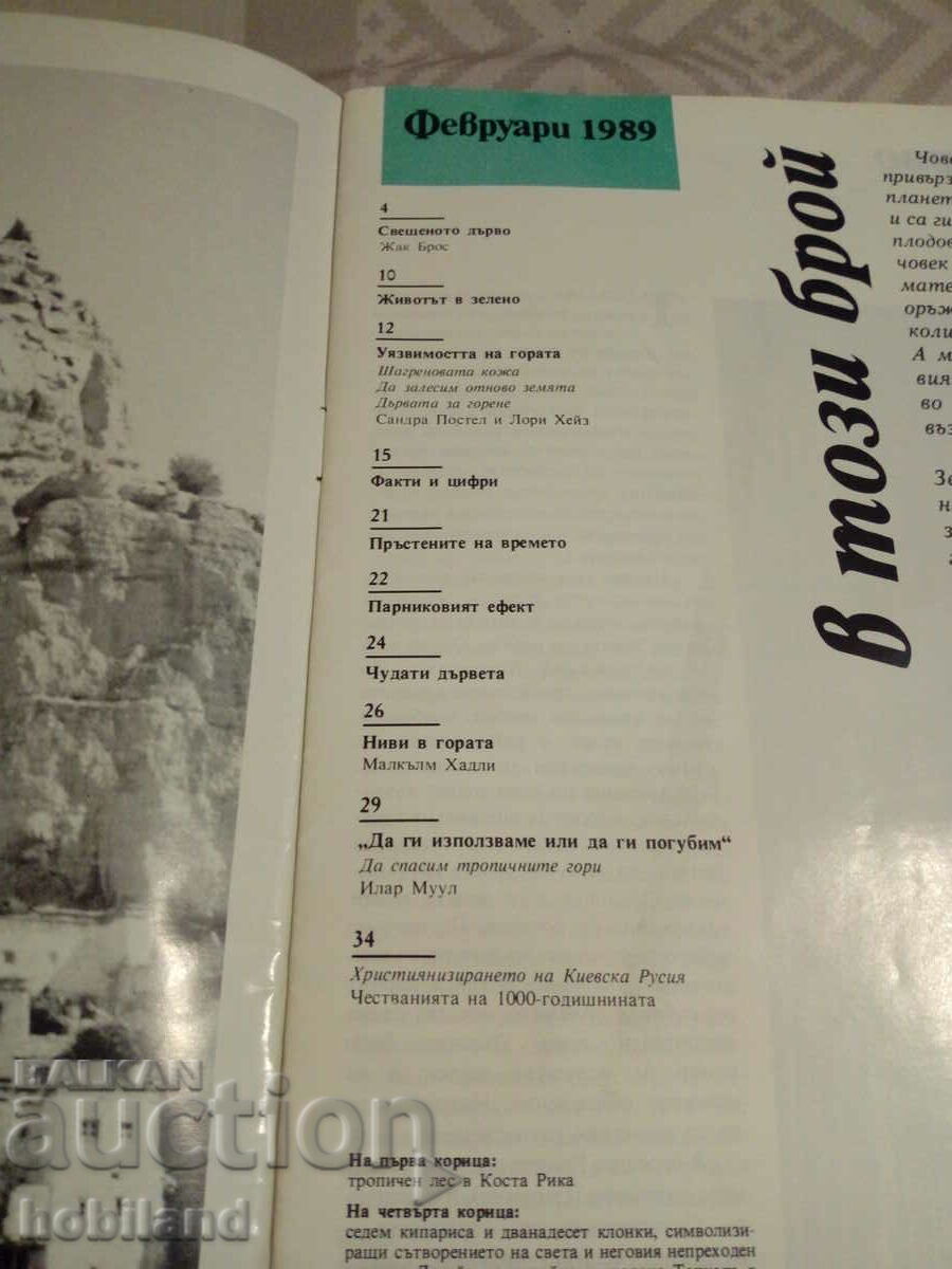 Δημοπρασία Το Ευάλωτο Δάσος Δημοπρασία Το Ευάλωτο Δάσος
