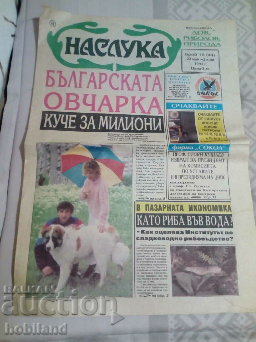 Наслука Наслука