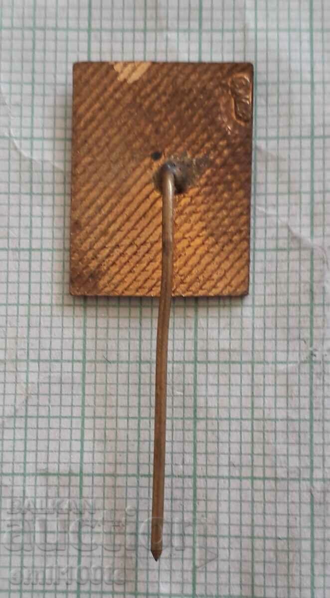 Badge - Republican Village Spartakiad - 5 Badge - Republican Village Spartakiad - 5