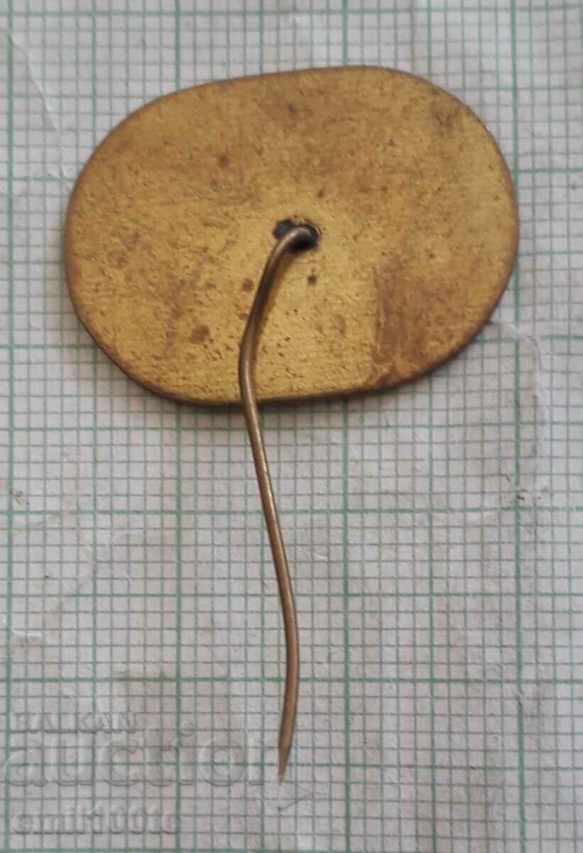 Delivery of Badge - Lovech 82 Republican Village Sports Day Delivery of Badge - Lovech 82 Republican Village Sports Day