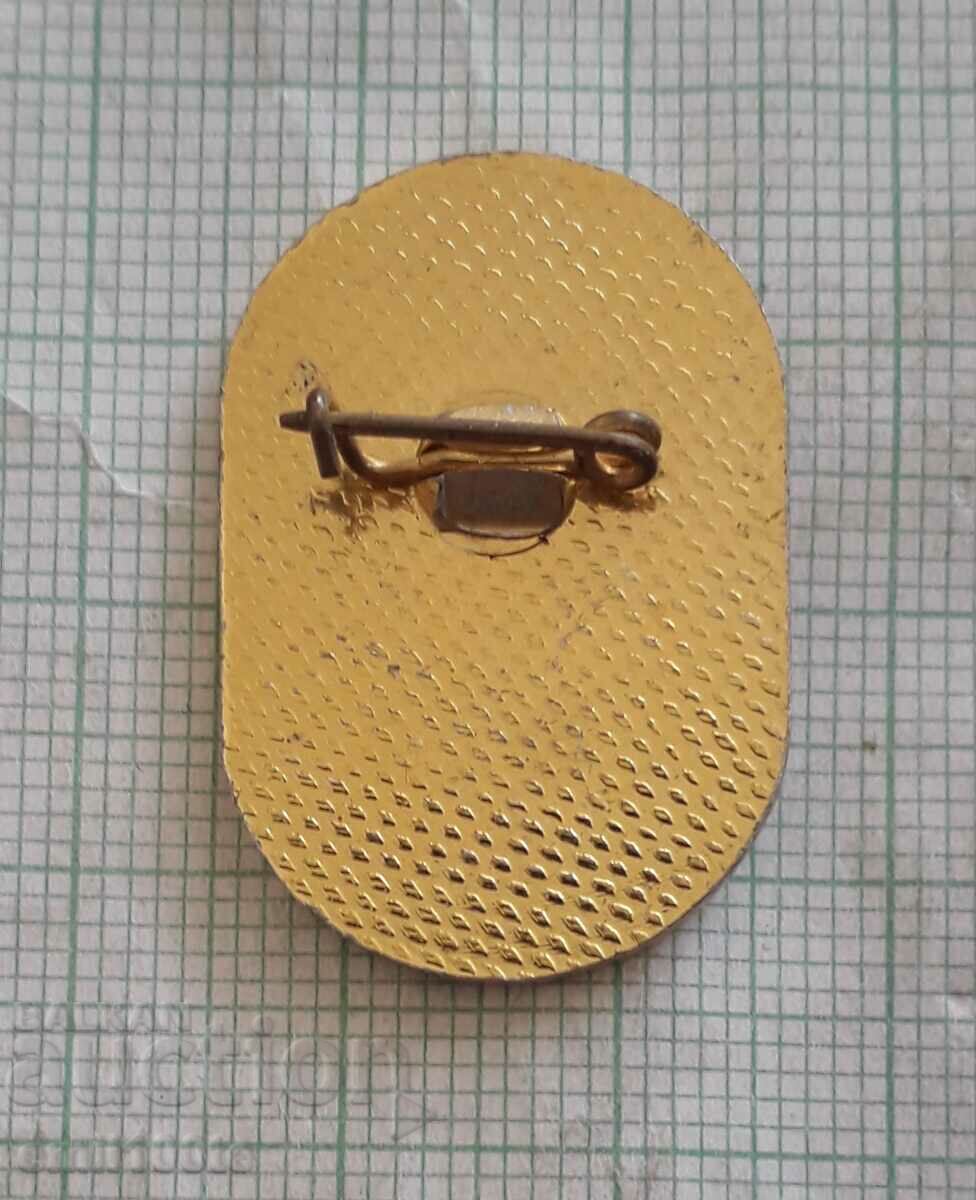 Delivery of Badge - Republican village sports day, students V. Tarnovo 79