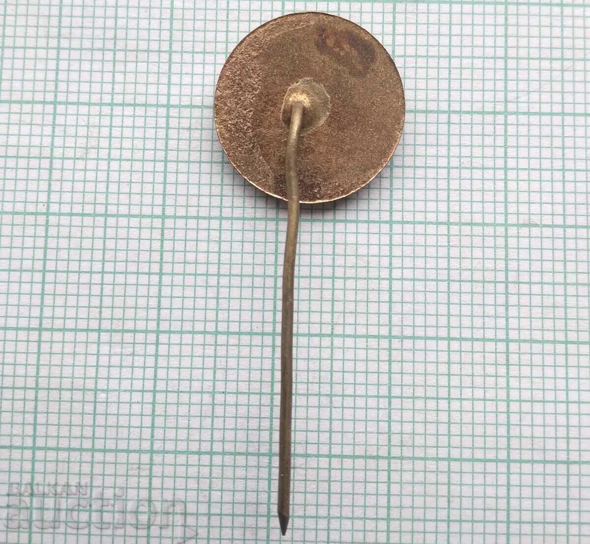 Auction 15099 Badge - DMZ Georgi Dimitrov Ruse - bronze enamel Auction 15099 Badge - DMZ Georgi Dimitrov Ruse - bronze enamel