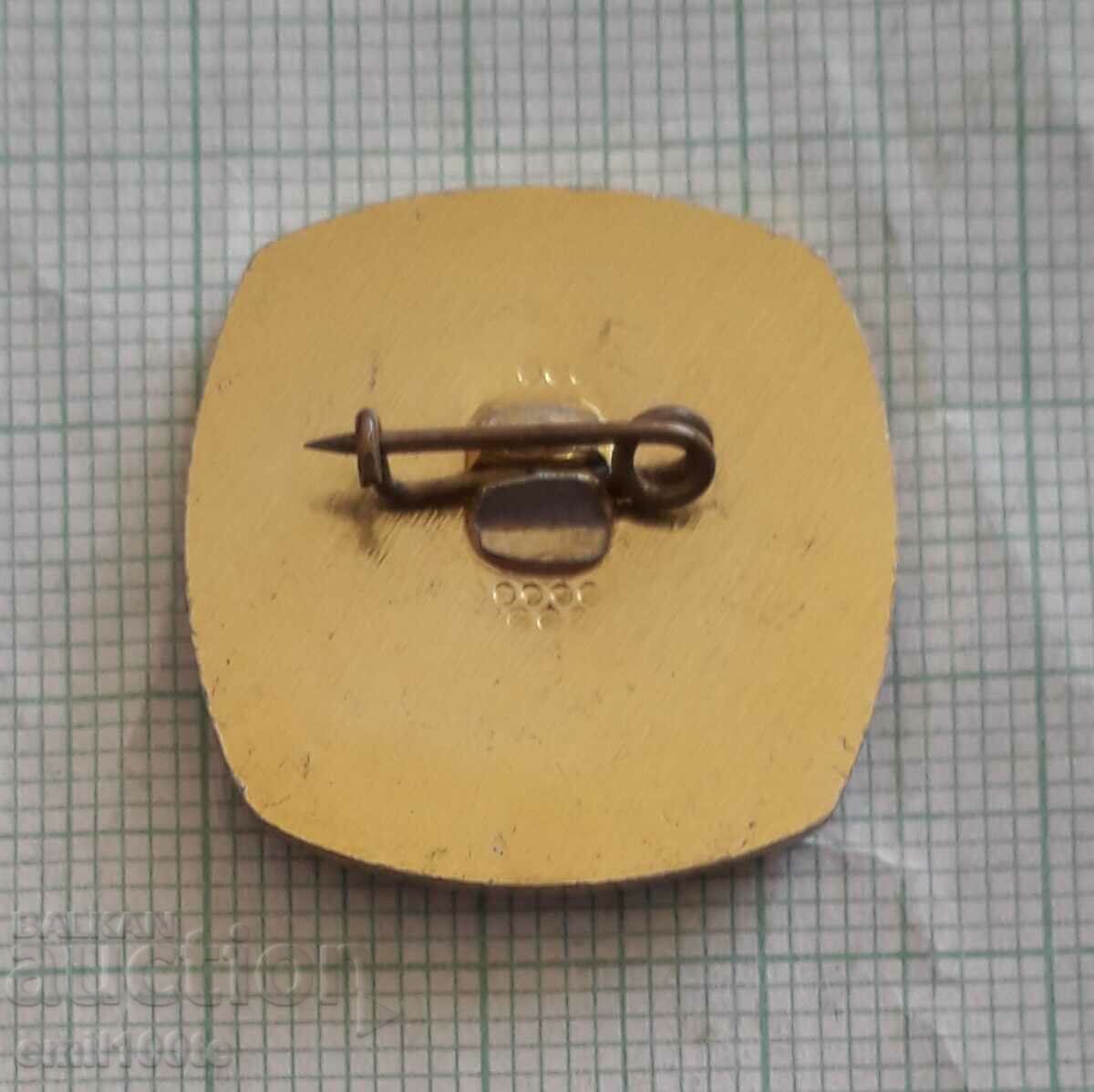 Delivery of Badge - School Games 86 Delivery of Badge - School Games 86