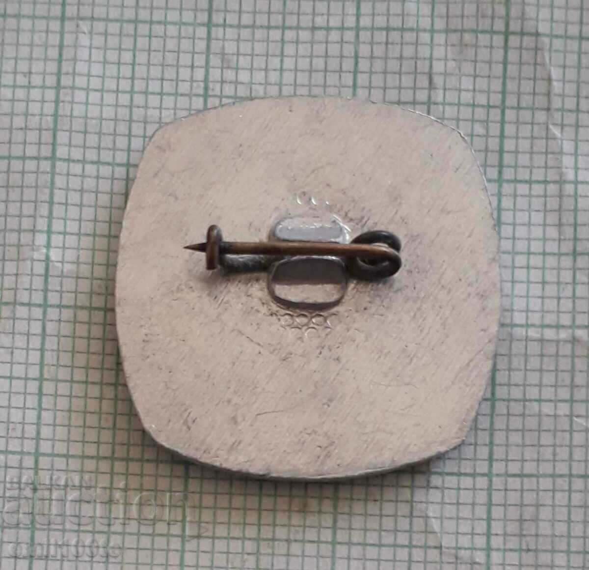 Delivery of Badge - School Games 86 Delivery of Badge - School Games 86