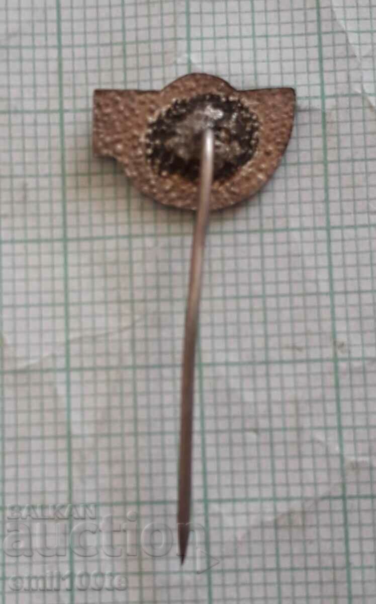 Livrarea Insigna - Federația Bulgară de Volei BFW