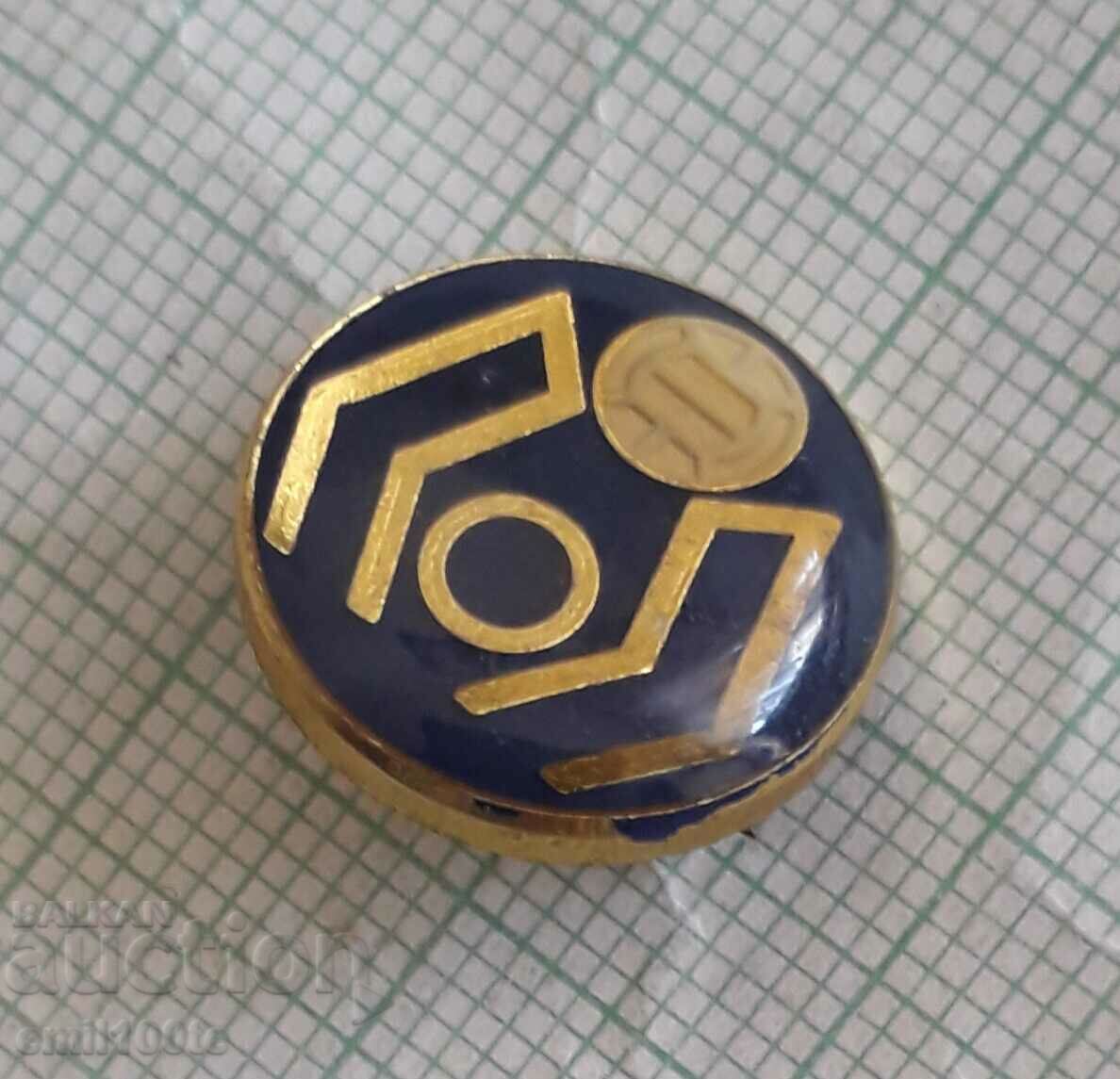 Auction  Badge - Volleyball