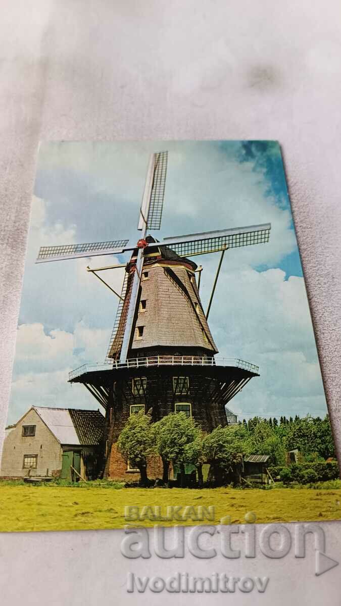Postcard Windmill
