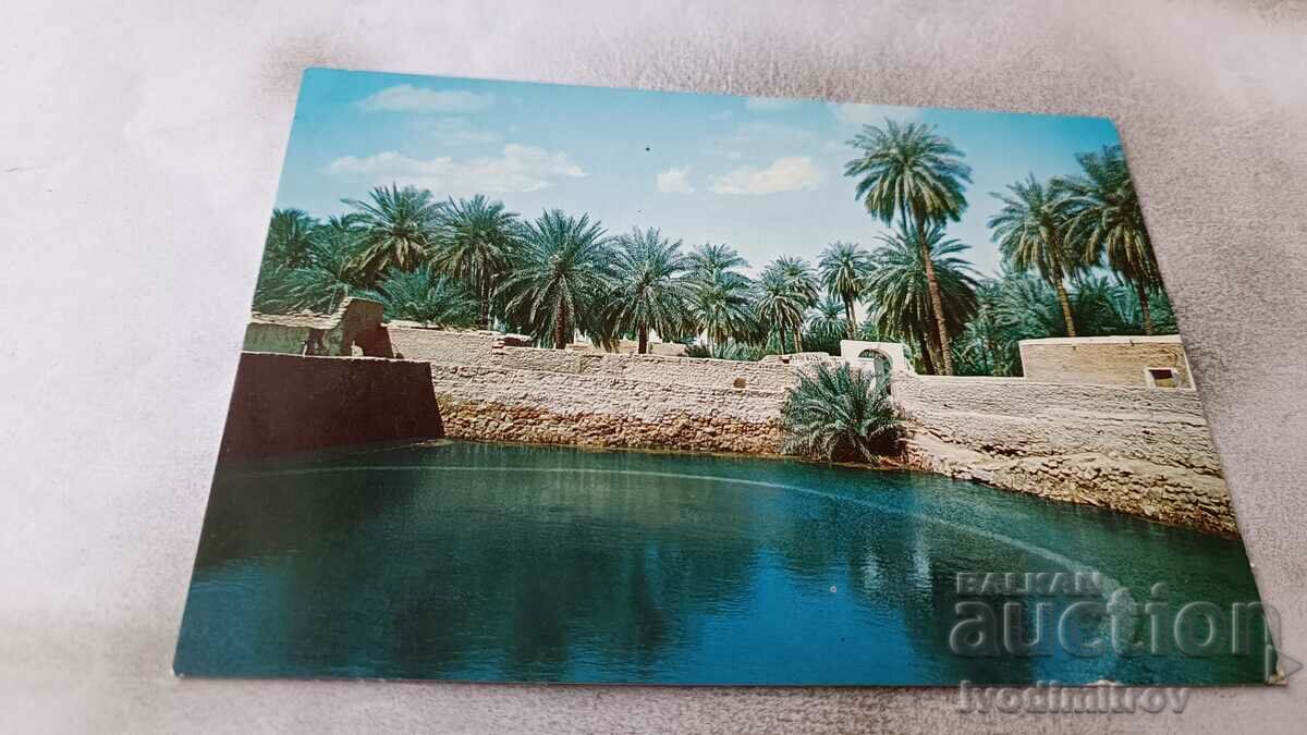 Carte poștală Libia Ghadames
