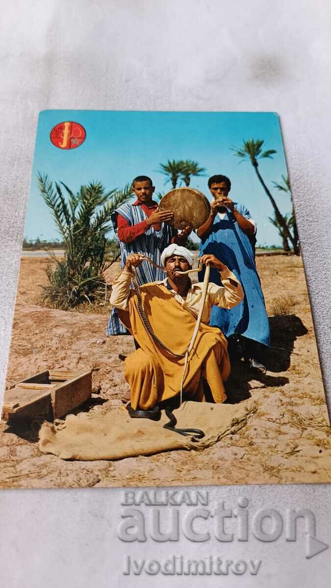 Marrakech Snake-Charmer Postcard