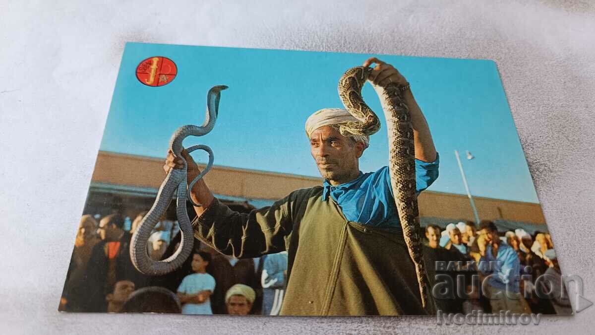 П К Marrakech Snake-Charmer and El Fna Square