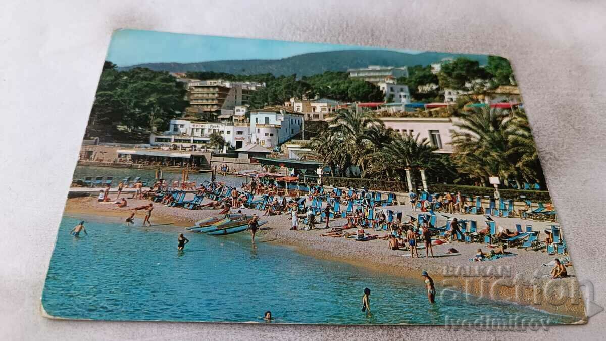 Пощенска картичка Mallorca Detail
