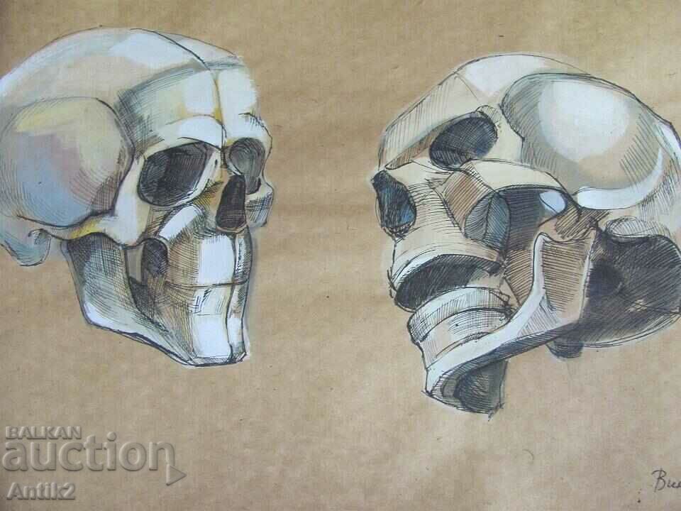 Винтич Оригинална Картина- Човешки Череп с цена 150.00 лв. | € 76.69 Винтич Оригинална Картина- Човешки Череп с цена 150.00 лв. | € 76.69
