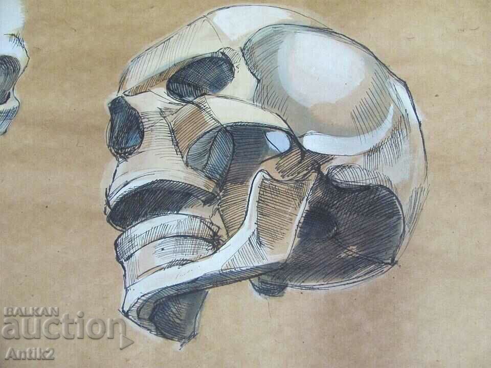 Доставка на Винтич Оригинална Картина- Човешки Череп Доставка на Винтич Оригинална Картина- Човешки Череп