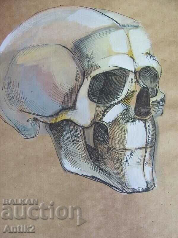 Винтич Оригинална Картина- Човешки Череп - 5 Винтич Оригинална Картина- Човешки Череп - 5