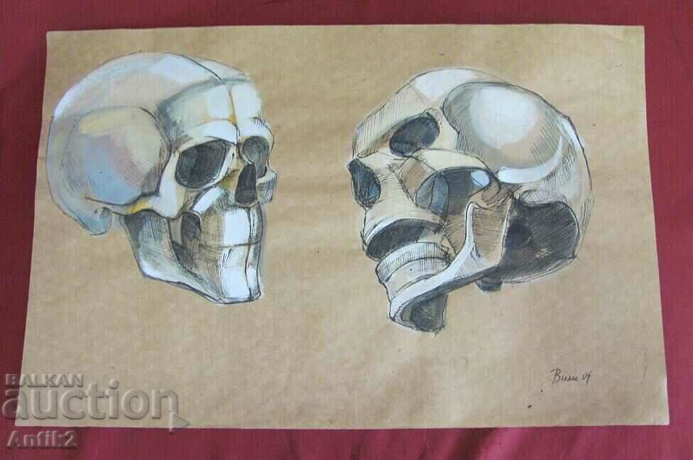 Винтич Оригинална Картина- Човешки Череп - 7 Винтич Оригинална Картина- Човешки Череп - 7