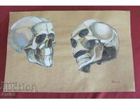 Vintich Original Painting - Human Skull
