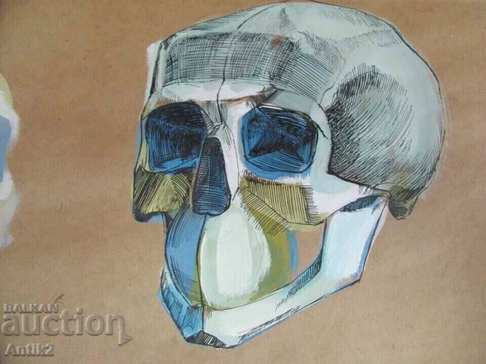 Auction Vintich Original Painting - Human Skull Auction Vintich Original Painting - Human Skull