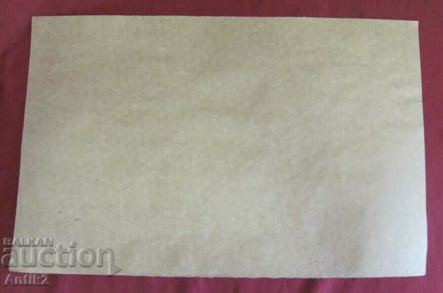 Vintich Original Painting - Human Skull - 5 Vintich Original Painting - Human Skull - 5