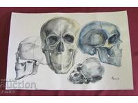 Pictura originală Vintich - Craniu uman